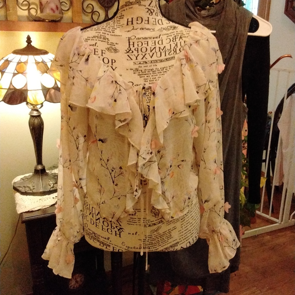 NWT! Women's romantic tie front sheer long sleeve top by Stella Dallas  size M